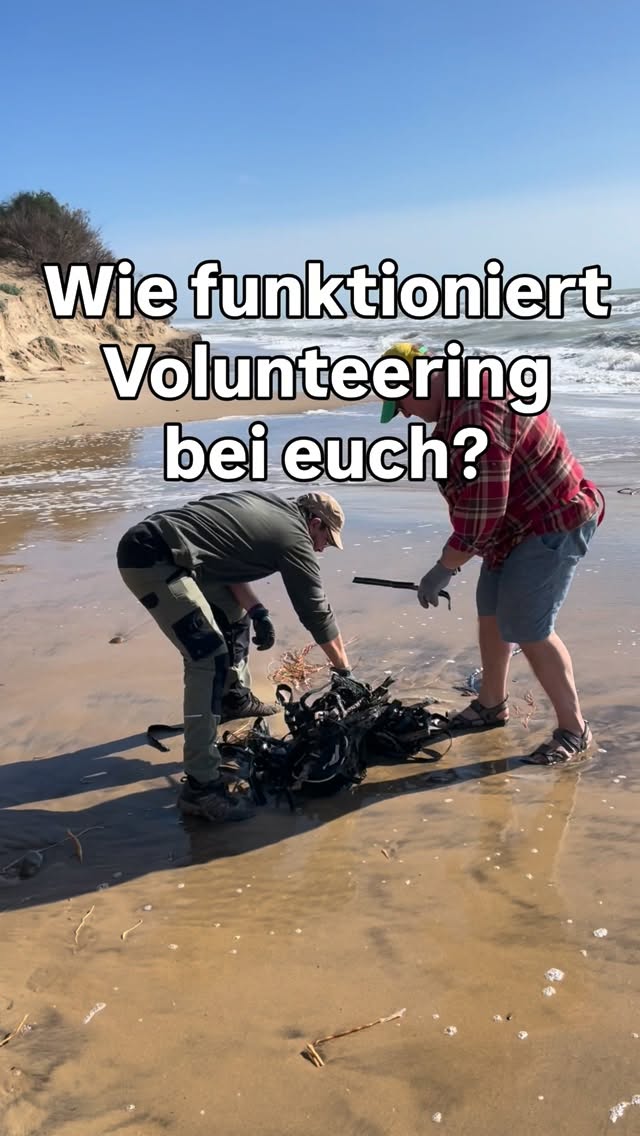 Wie funktioniert Volunteering
bei euch? 🧹
#volunteering #urlaubgegenhand #permakulturhostel