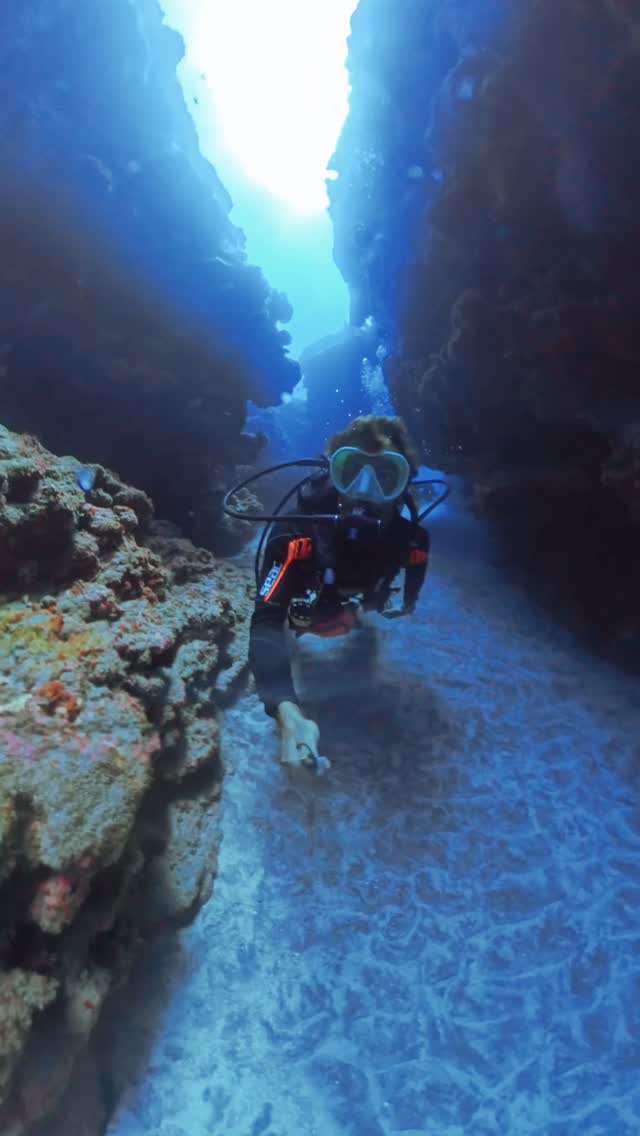 Aujourd’hui, notre moniteur vous emmène avec lui pour revivre cette superbe plongée entre faune, flore et paysages sous-marins exceptionnels. 🐟
Qui est prêt pour la prochaine immersion ?
#DiveClub #PlongéeSousMarine #Scuba #OceanLife #Adventure