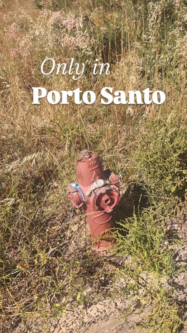Rolex party - in our neighborhood :)
#portosantoisland❤️ #portosantoisland #howtoportosanto #portugal #ilhadourada