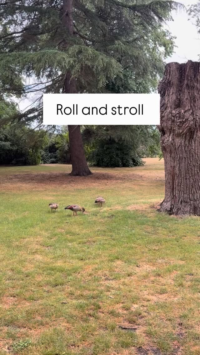 Today- our monthly Roll and Stroll in Bushy park