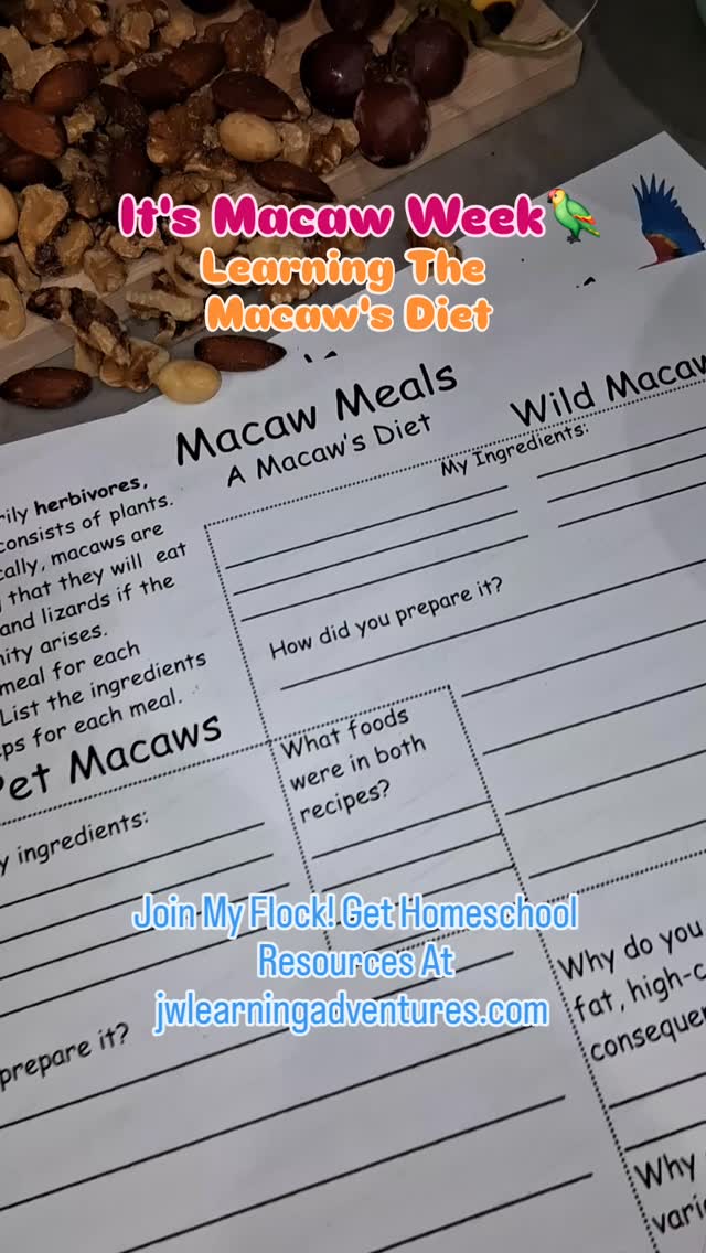 🦜Creating a recipe mix for a macaw and learning all about their diet and nutrition. This lesson is soaring high with learning opportunities!
👋Join the adventure! Get homeschool support, encouragement, resources, freebies, and fun straight to your inbox. Sign up for FREE at jwlearningadventures.com
🧡Learning is a lifelong adventure- let's make it a fun one!
#macaws#parrots#learningwithfood#homeschoollearning#learningactivities