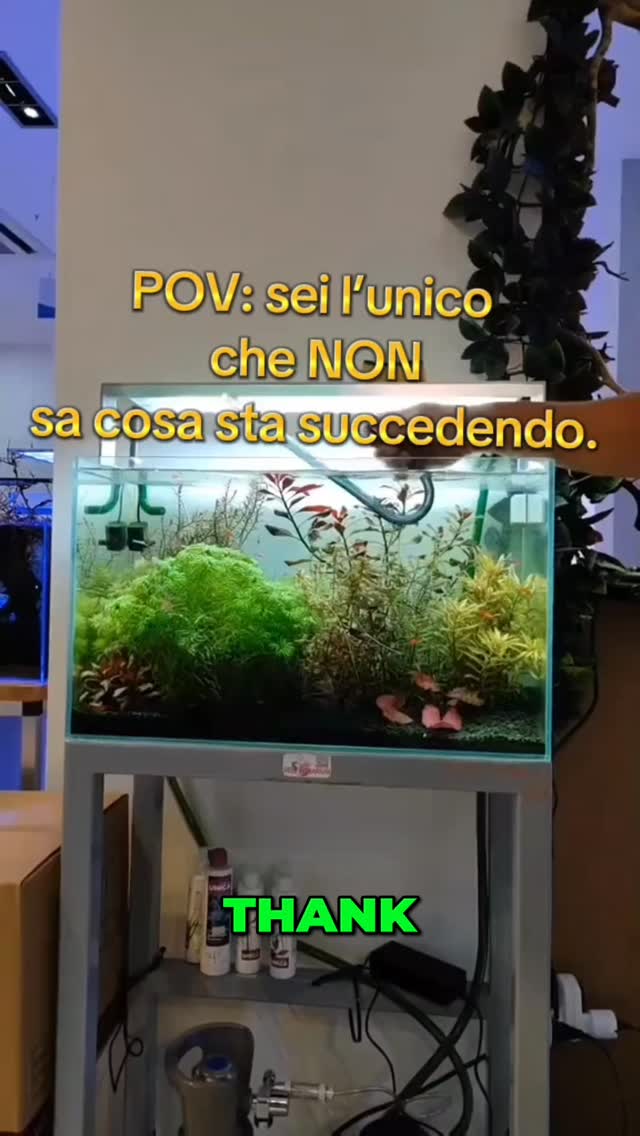 Thank You! Simple but Powerful
Www.reef-aquarium.it
#ReefTankItalia #acquascaping
