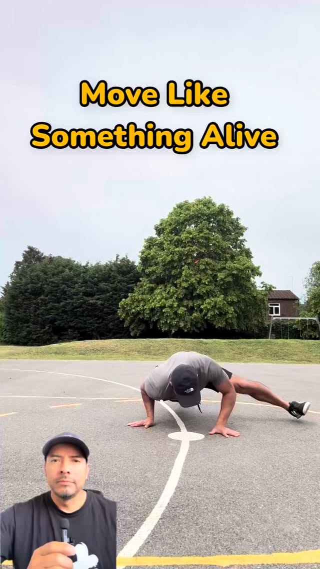 Something changes when you move closer to the ground.
Movement becomes more instinctive.
Less controlled.
More responsive.
This kind of practice forces the body to adapt in real time.
Hands touching the floor.
Weight shifting.
Legs extending.
Nothing rigid.
Nothing fixed.
And that’s where real movement begins.
Not just strength.
Not just mobility.
Awareness.
Adaptability.
Connection.
This type of circular ground movement develops:
✔ Coordination
✔ Ground strength
✔ Mobility under movement
✔ Body awareness
But more importantly…
it reconnects you with natural movement.
You stop moving like a machine…
and start moving like a living system.
This is the Grounded Method.
👉 If you want to move with more freedom and awareness, I offer 1:1 coaching — DM me “GROUND”.
#movementculture #humanmovement #movementflow #functionalmovement #mobility
