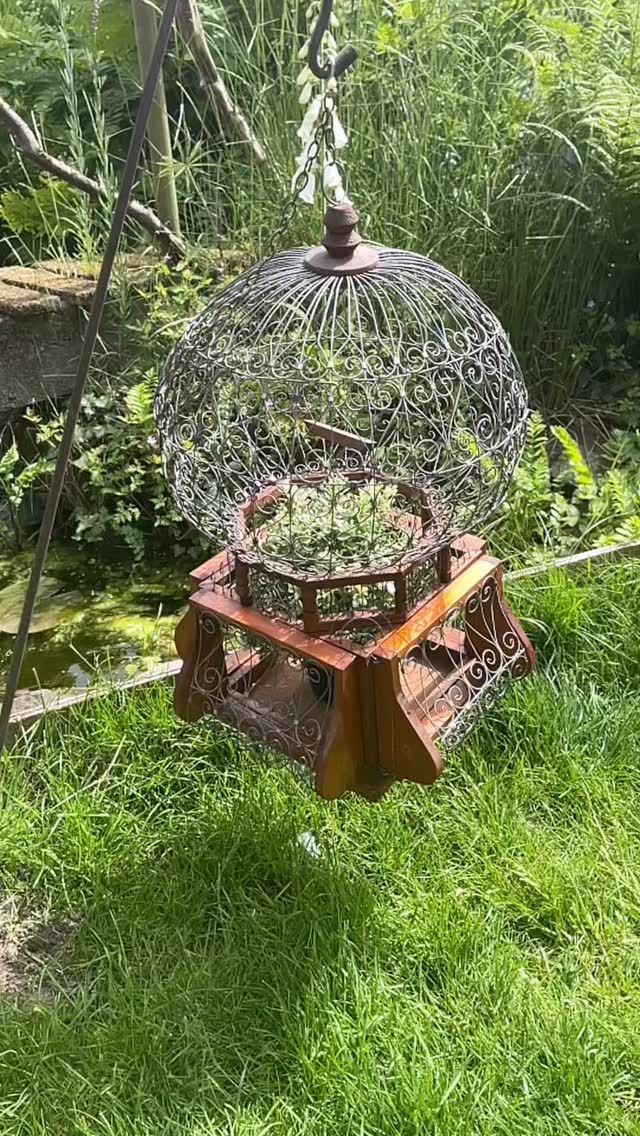 Simply stunning vintage ornamental birdcage. Made from wood and metal in a Moroccan style.It has gorgeous scrolled wirework, front opening door and hanging chain.
Beautiful decorative piece but could also be used to house a plant H56cm £65
#birdcage #vintage #moroccan #plantholder