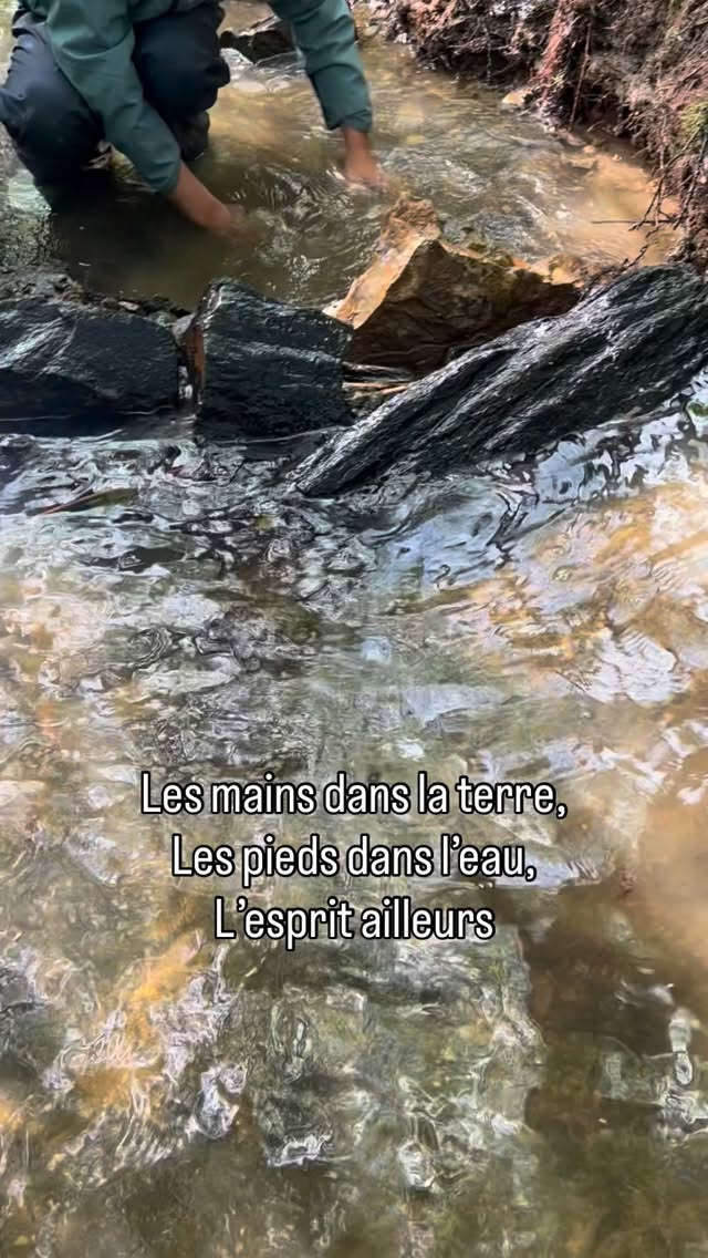 Dans ces moments-là, les enfants sont pleinement engagés dans le présent. Ils explorent le monde avec leur corps, leurs sens et leur curiosité.
Parfois, ce dont ils ont le plus besoin n’est pas une activité de plus, mais simplement du temps au contact du vivant.
🌿 Et vous, quel est votre endroit préféré pour laisser les enfants jouer librement dans la nature ?