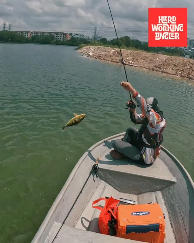 Bising pulak orang tua @mohdyadnan9 kalau lambat up video #hardworkingangler #peacockbassfishingguidemalaysia #visitmalaysia #fishing #peacockbass