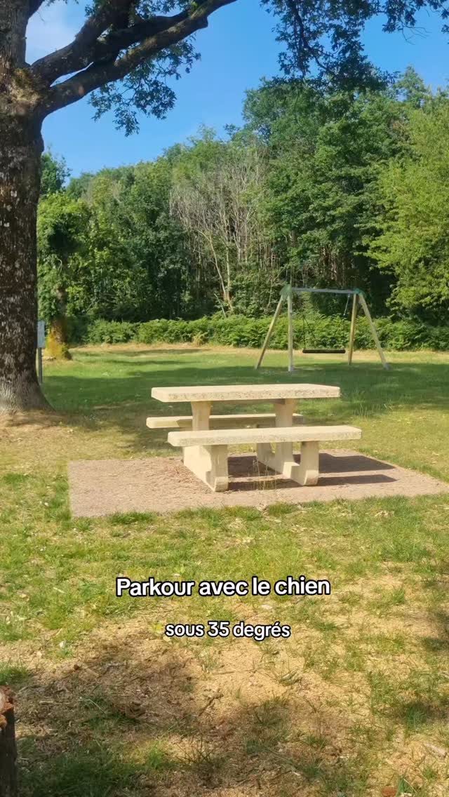 Parkour avec le chien sous 35 degrés, une table de pique nique c'est la meilleure salle d'entraînement 💪
#parkour #vivrefort #sport