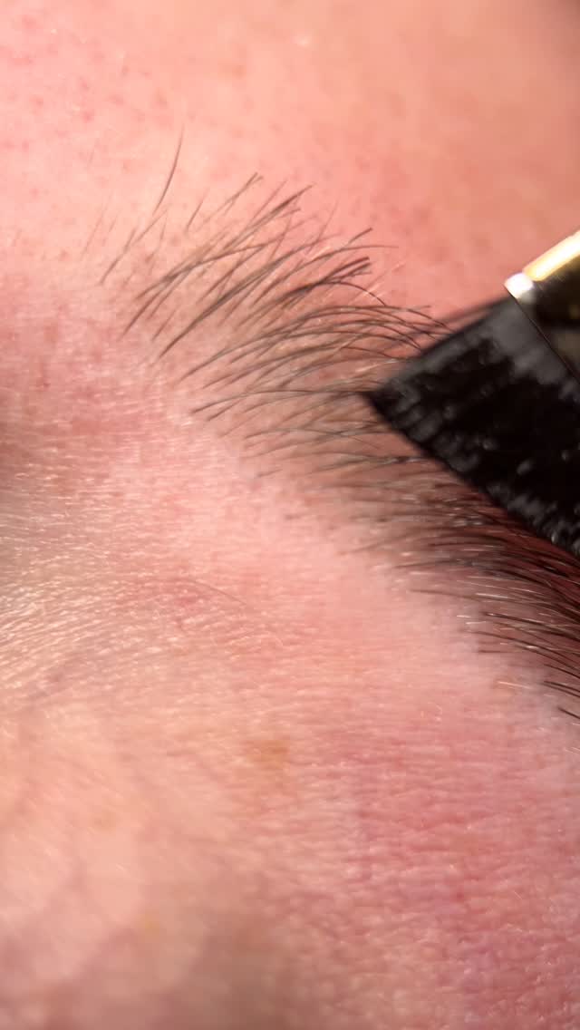 Your brows but betterđ Trust the processđŻ
Booking available, click the link in the bio!
đShop 5/ 108 maroubra road, Maroubra
#hybriddye #sydneybrows #browsexpert #tintapplication #browdye