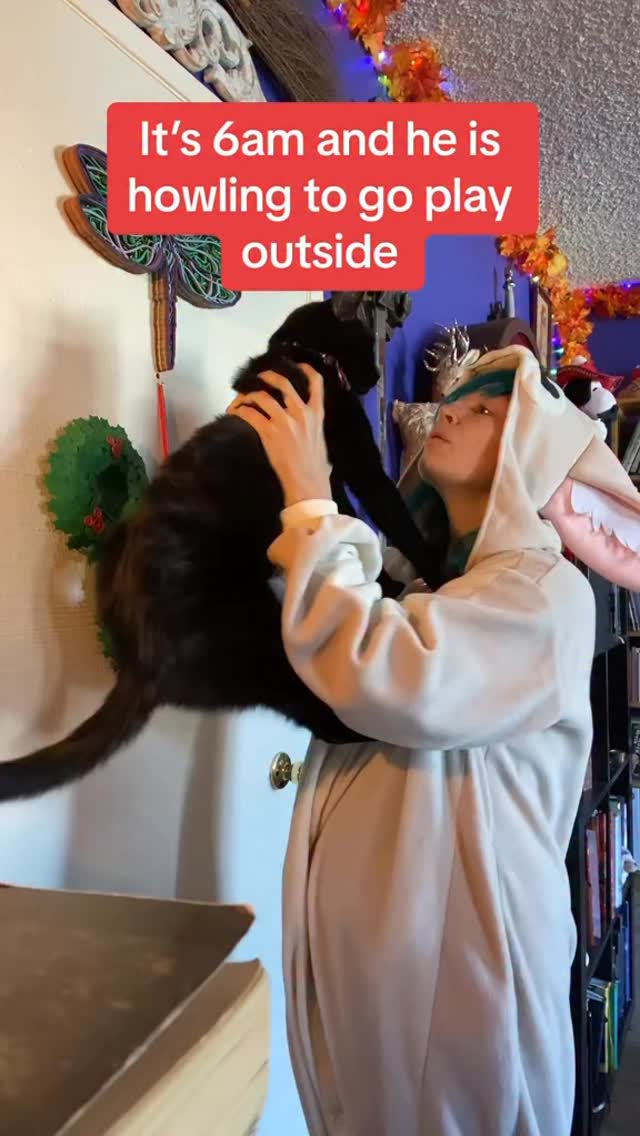 The boop was perfect. We don’t pay him enough. #cat #catsofinstagram #funny #silly