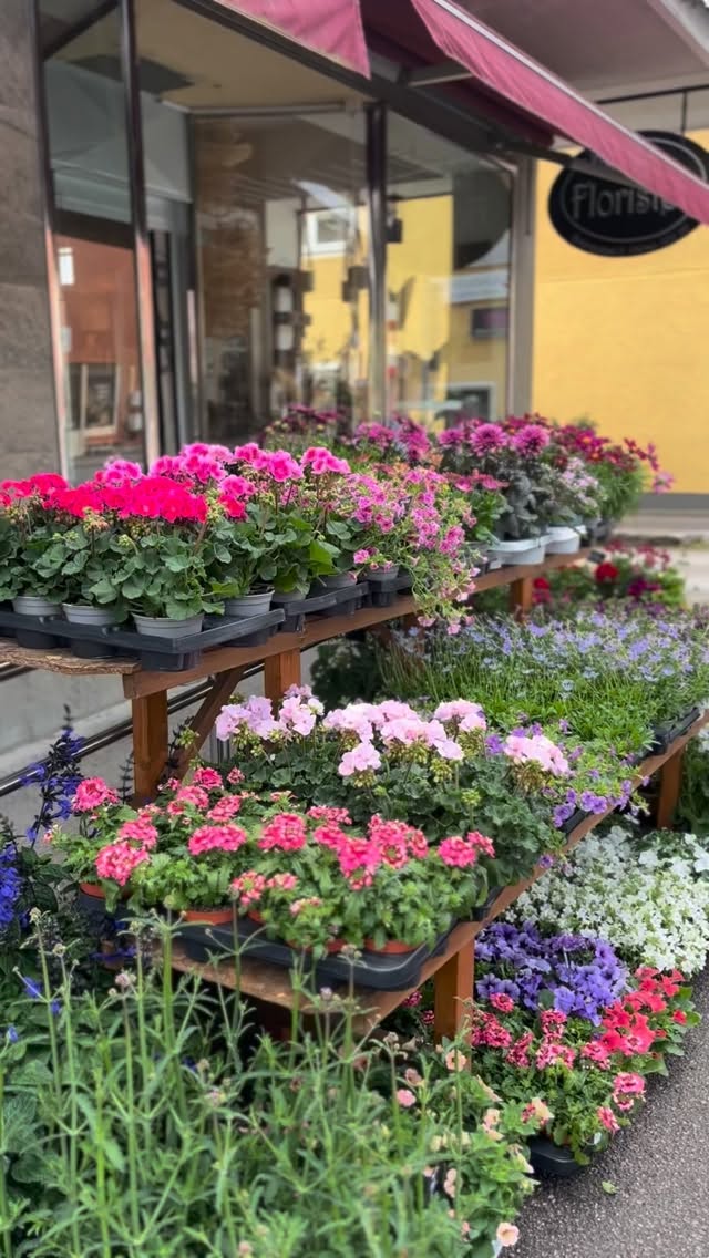 Påfyllt med sommarplantor😍
