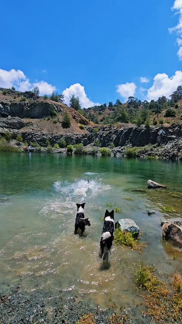 Same drive. Same condition. Different life stages.
That’s why we feed #Eukanuba 🩷
1 year old ~ on Eukanuba Puppy
5 years old ~ on Eukanuba Adult Lamb
8 years old ~ on Eukanuba Senior
Fueling every life stage with Eukanuba,
Unleashed Borders 🖤🤍
From puppy to veteran!
@fokiapetcy 🎀 @eukanuba_dogfood