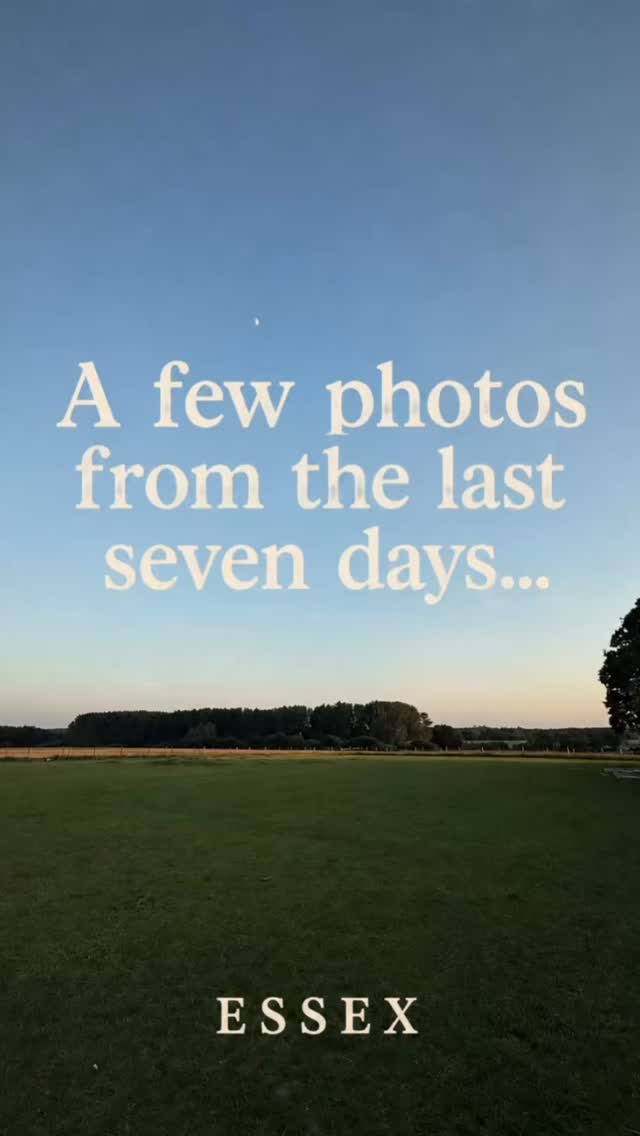 It’s been a busy week with private dining events, weddings, @spicecollectionsuk launch party and developing some amazing new products for @thepescatarianlimited this summer. ☀️
Until next week……. 👍