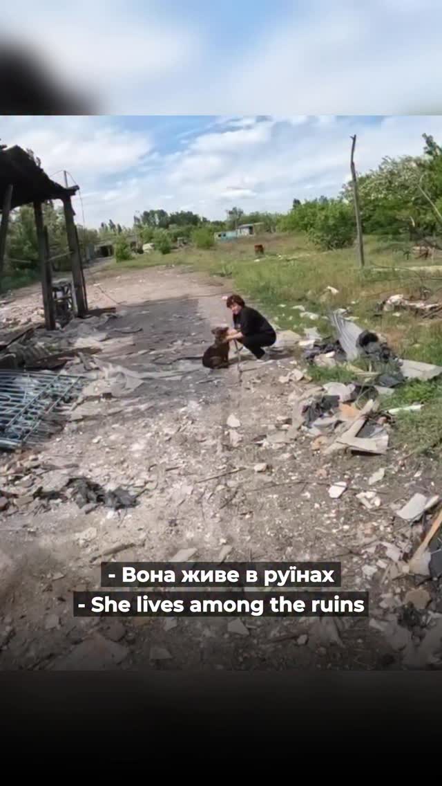 ДРУЖКІВКА. Так відбувається евакуація тварин зараз (⬇️ENG)
Ми евакуювали тварин разом із Джессом і Нейтом із канадської організації @raincoastdogrescue .
В цій поїздці з Донеччини вдалося евакуювати 33 тварин.
27 із них ми передали під опіку інших організацій і рідних власників.
Котик Бруно, якого ми приманювали кормом, проходить лікування в нашій клініці ARK.
Решта тварин зараз відновлюються у нашому реабілітаційному центрі ті дуже чекають на свій дім.
Дякуємо @petadeutschland за допомогу в порятунку тварин війни !
Хай Життя переможе все !
Зробити донат можна за посиланням у біо чи в коментарях 👉
DRUZHKIVKA. This is what animal evacuations look like now.
We evacuated animals together with Jesse and Nate from the Canadian organization @raincoastdogrescue.
During this trip, we managed to evacuate 33 animals from the Donetsk region.
Twenty-seven of them were transferred into the care of partner organizations or reunited with their families.
Bruno the cat, whom we lured out with food, is currently receiving treatment at our ARK clinic.
The remaining animals are now recovering at our rehabilitation center and are eagerly waiting for their forever homes.
Thank you to @petadeutschland for helping us save animals affected by the war!
May Life overcome everything!
You can support our work with a donation via the link in our bio or in the comments 👉🏻