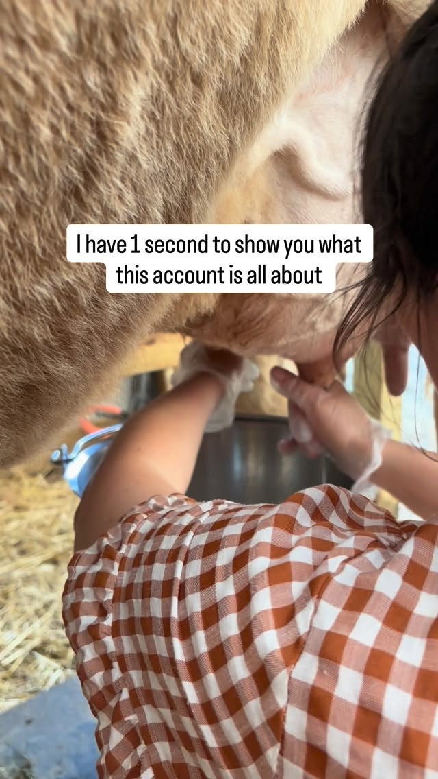 If you find this, hi ๐ welcome to our page #homestead #country #farm