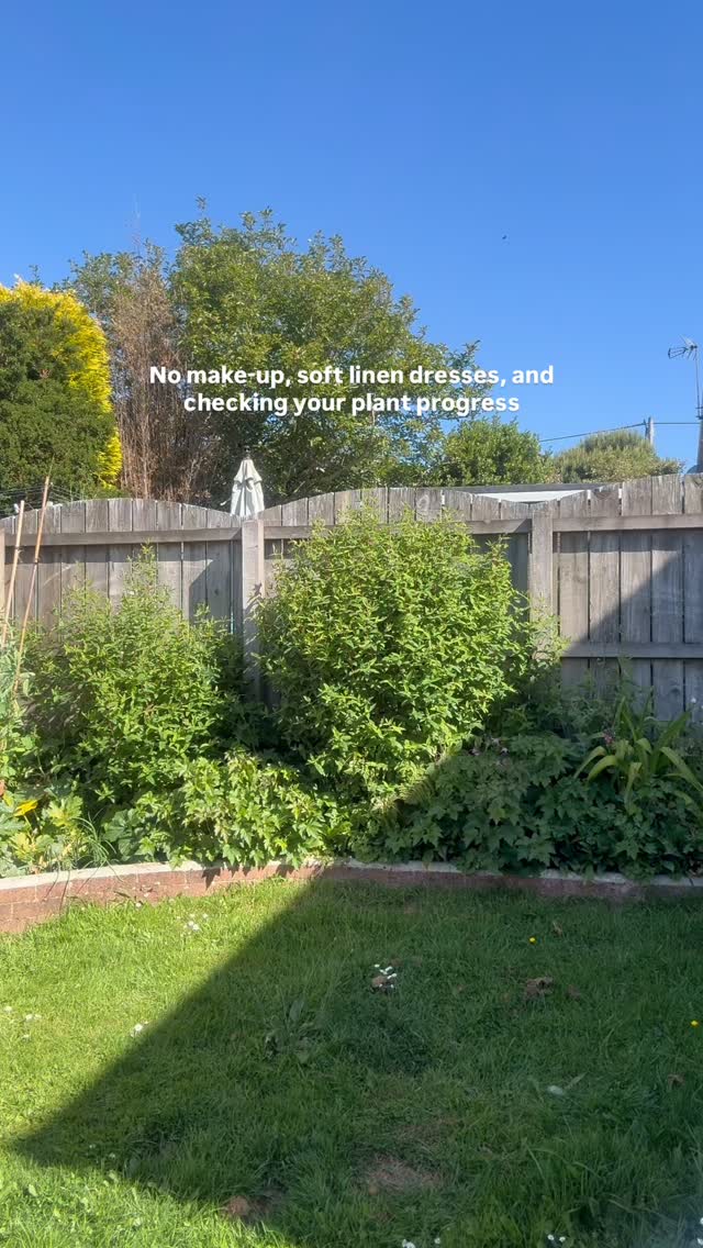 A little garden show and tell, miraculously growing well despite me having no idea what Iโm doingโฆ ๐๐๐ธ
My favourites are the lemon tree and the cosmos! ๐