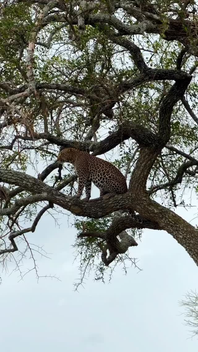Your Tanzania safari awaits.
WhatsApp: 0769 992 291
📧info@wenzitravel.com
🌐wenzitravel.com