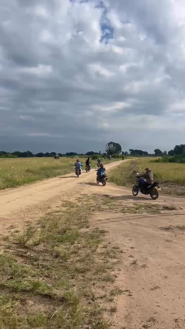 Just another day in Uganda 🇺🇬 😎
#onbikesafari #africanmotoadventure #uganda #elephant