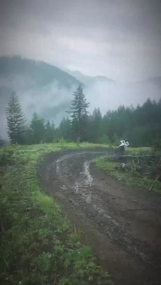 Time2play in the Rain Forest! 1 spot remains, June 10-14. Five day Oregon vacation, bring your own bike or rent one of ours
DM