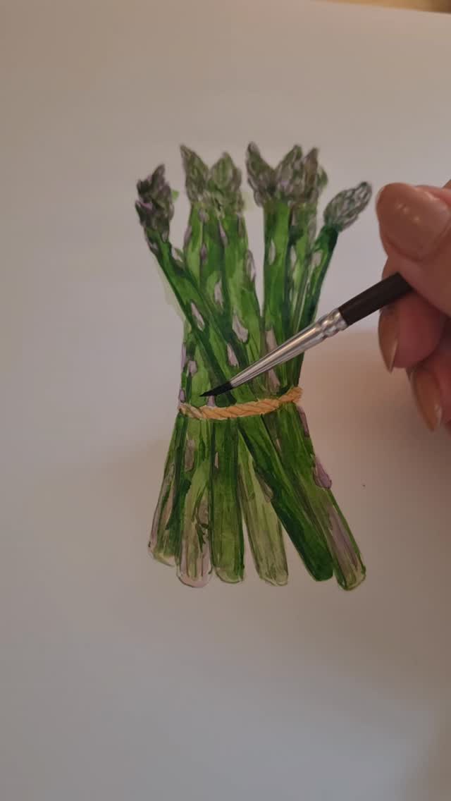 Paint with me: adding some shadows to the tie on this bunch of Asparagus
I paint in watercolour mainly because of how bright and deep colours can be with that medium. I am always very gentle adding shadows, and it's never true black colour that I add for shadows, I often mix it with the underlying colour: in this case it was mix with a bit of green.
#watercolourpainting #botanicalillustration #paintingreel painting process Asparagus green paint video progress