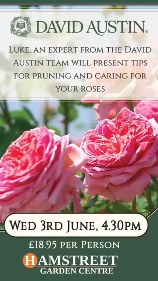 Not long til this amazing event - book your place now! Our wonderful headline sponsor @tenterdengardencentre is running a fantastic David Austin roses event on 3rd June at Hamstreet Garden Centre. Make sure you book your place now! #roses #davidaustinroses #hamstreetgardencentre