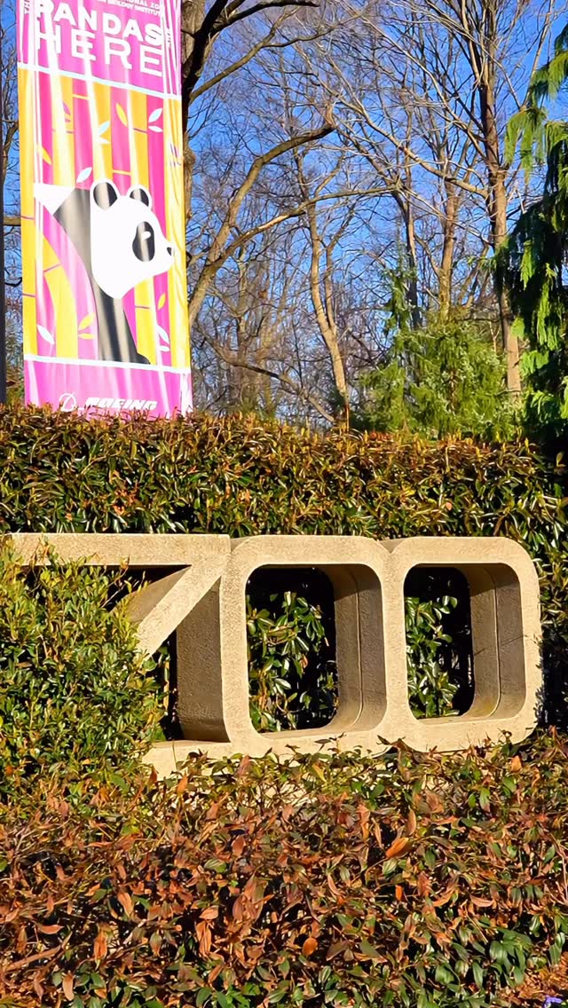 Just steps from the National Zoo and the perfect way to end your visit.
Cool off with your favorite frozen yogurt, load up on toppings, and treat yourself after a day of exploring.
See you after the zoo.
#FrozenYoDC #NationalZoo #WashingtonDC #FrozenYogurt #ZooDay DCFoodie