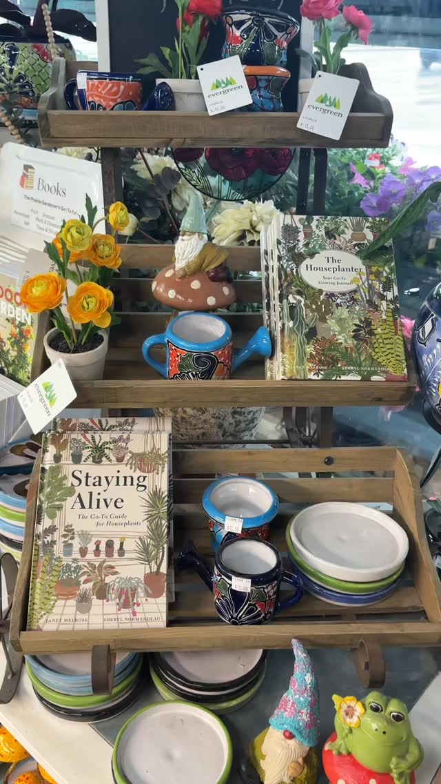 What’s better than reading a good book when the weather is gloomy? Come check out our awesome selection of books today!📚🌧️
@edmontonnativeplants
@habitat_yeg
@calgaryscottagegardener
@natureloopyeg
@m15holland
#gardening #plants #books #reading #edmonton