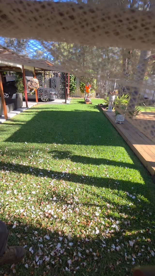 You came for 10 seconds...Now you're emotionally invested in this lawn 😅💚 hard to believe this is a Winter lawn in Sydney
#LandscapingLife #OddlySatisfying #fypシ❤️💞❤️ #grass #winter