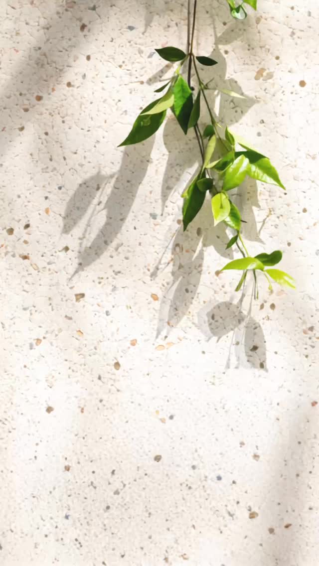 A Sanctuary for You, a Footprint for the Future. 🌿
At MTM, alignment goes beyond posture. It’s how we care for the planet. We’ve curated our studio to be as sustainable as it is restorative, keeping your practice green, clean, and mindful:
💧 BYO Bottle: Top up at our water station, with hot and cold options.
🌿 Toxic-Free Towels: Our fresh, complimentary towels are laundered using eco-friendly, non-toxic detergents—safe for your skin, gentle on the earth.
🧵 Towels Over Tissues: We sanitize our equipment with reusable cloths rather than disposable paper wipes.
📲 100% Digital First: From registration forms to your final invoices, everything is handled digitally. No trees were harmed.
🚴 Green Commutes: Complimentary Bike Parking. We encourage you to cycle to our cozy studio to get your body moving before your class begins.
PS. 🚗 also have free parking privileges
Thank you for helping us stay sustainable while transforming your body. 🏛️✨
#madetomovesg #sustainablesg #pilatessanctuary #pilatessg