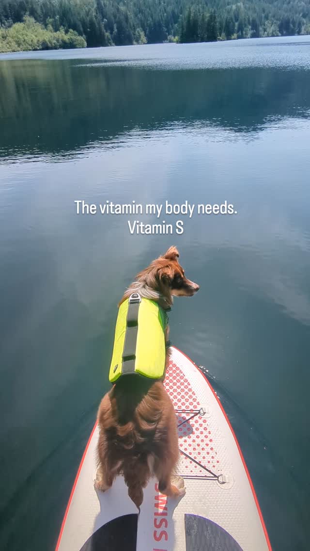 ☀️ The vitamin every Canadian loves? Sunshine, Summer and SUP ( stand up paddle)🌊🏄♂️
This summer, grab a paddle and explore the beautiful lakes of the Fraser Valley with us. Whether you're looking for a relaxing paddle, a fun day with friends, or a new outdoor adventure, we've got you covered.
✅ SUP rentals available Monday to Sunday
✅ Delivery and pickup throughout the Fraser Valley
✅ Quality boards and equipment included
📅 Weekend spots fill up fast! Send us a DM or text us today to reserve your board and make the most of summer.
#chilliwack
#suprentals
#fraservalley
#explorebc
#chilliwacklocalbusiness
