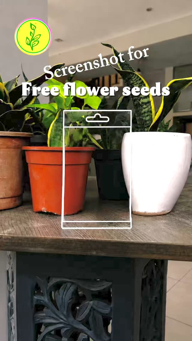 Screenshot the seed packet inside the box.
Easy? 🤔
Go on, I’ll wait. 😂🌱