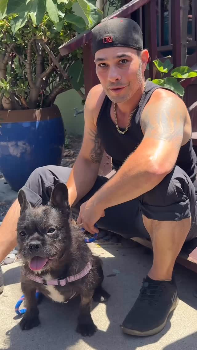 I train most the dogs for @istandwithmypack & this lil’ dude is a big dog in a little body. He trives W/ training & structure. VERY friendly W/ all dogs & people. To meet him- hit up @istandwithmypack or @iswmp_adoptables
#frenchbulldog #rescuedogs #adopt #dogs