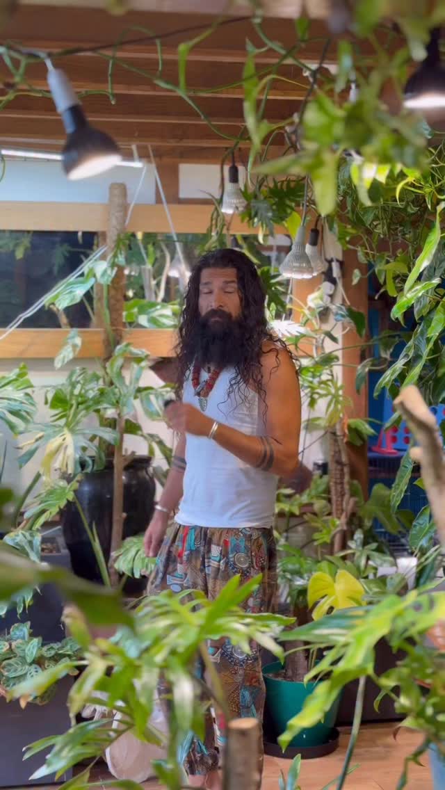 “Put it in the bathroom. It loves humidity.”
One of the most repeated bits of plant advice on the internet.
Also one of the most misunderstood.
Yes, tropical plants like humidity.
No, twenty minutes of steam while you wash your bum doesn’t magically turn your bathroom into the Amazon rainforest.
Most plants would rather have bright indirect light and average household humidity than spend their lives in a dark corner waiting for you to have a shower.
What plant myth drives you absolutely insane?
Let me know below and I might brutally dissect it in a future video.
If you’d like to dive deeper into the science, myths and madness of houseplants, my book You’re Overwatering It is available now.
One love, tiny phone people ❤️🫶🏽🙌🪴