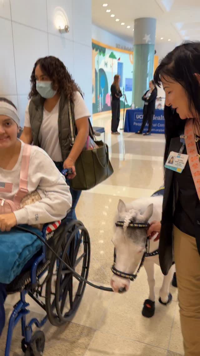 Sometimes leading a horse is much more than leading a horse. UCLA Ronald Reagan Medical Center + Mini Therapy Horses.