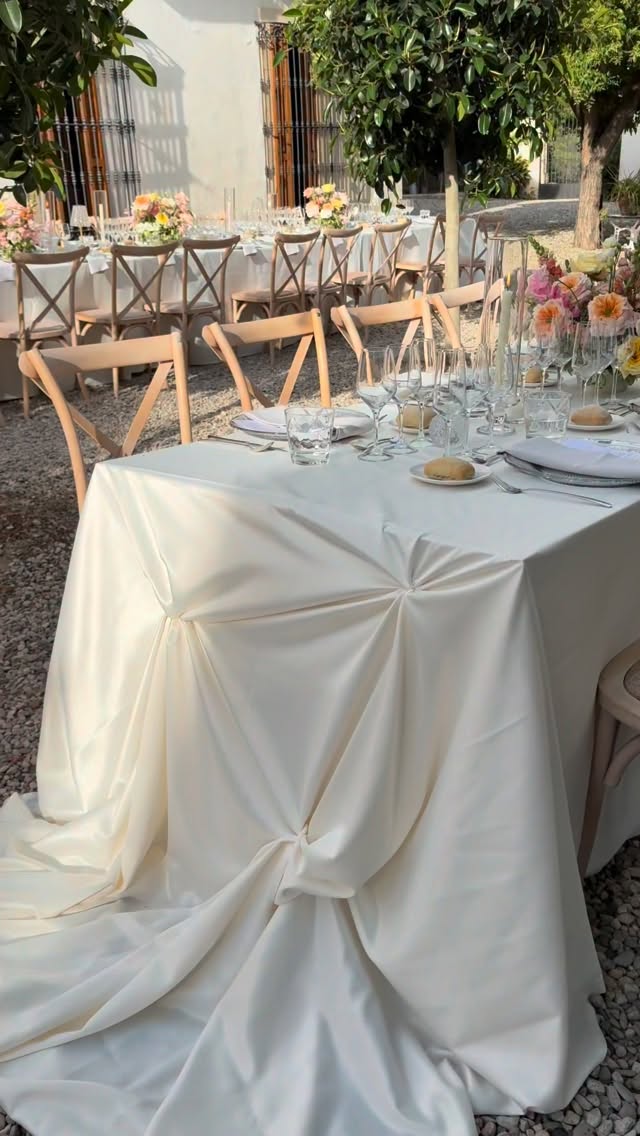 Come with us to Casper & Renate wedding banquet ✨ From the first course to the wedding cake 🤍🫶🏻
@maspalou
@vowsofjoyweddings
@lovingtheflowers
@louiseboonstoppelfotografie
@mediajockeybarcelona
@tot_catering_penedes
@koenalvarez