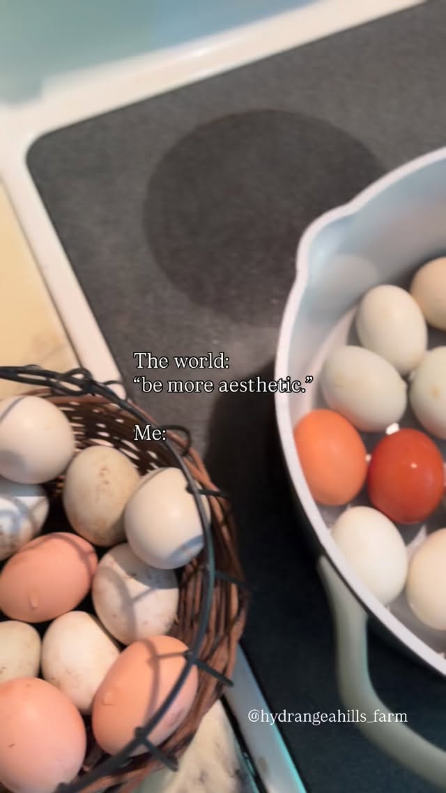 Like this?
You said aesthetic, right?
The least in-fluency influencer there ever was.
It’s butterfly season, leave me alone while I master the consistency I want in my eggy pudding-while milking goats & sheep, designing, homeschooling 4 kids, raising & house training 9 puppies, running a small farm porch, starting a candy co. with the kids, writing novels because why not & running a goat milk soap gig for the joy of it on the side when I'm able-which is like neverrrr🦋✨