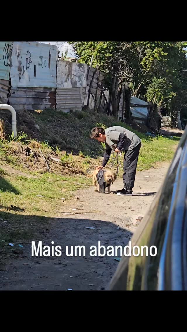 Porque os animais sofrem tanto?
Mais um abandono e mais um resgate que nao poderíamos sequer pensar em fazer... mas o que eu deveria fazer? Deixar ele nessa avenida largado pra morrer?