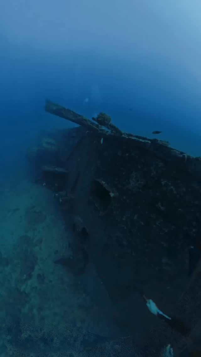 ⚓ Plongée sur l’Antonio Lorenzo ⚓
Immersion sur l’une des épaves les plus emblématiques de Saint-Leu : l’Antonio Lorenzo.
Ce navire de pêche espagnol s’est échoué au large de Saint-Leu en 1961 après avoir rencontré de mauvaises conditions en mer. Depuis, l’épave repose sur les fonds réunionnais et s’est transformée en un véritable récif artificiel, abritant une riche biodiversité marine.
Entre bancs de poissons tropicaux, coraux et ambiance mystérieuse, chaque plongée sur l’Antonio Lorenzo est une plongée dans l’histoire autant que dans la beauté de l’océan Indien.
🤿 Une exploration incontournable pour les plongeurs de La Réunion !
📍 Saint-Leu, La Réunion
🐠 Avez-vous déjà plongé sur cette épave mythique ?
#Plongée #SaintLeu #LaReunion #AntonioLorenzo #Epave 🌊