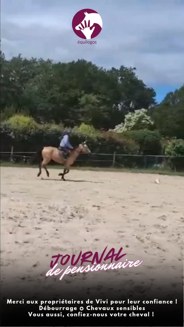 Vivi est maintenant à l'aise au galop dans une grande carrière ! Objectif atteint 👌🏻