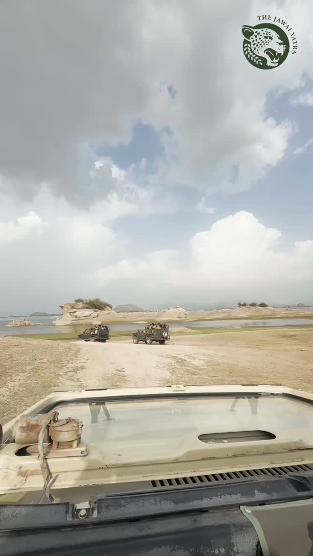 Tag Gujju
#jawai #JawaiSafari #gujjugram #viral #tagsforlikes ( Gujarti,