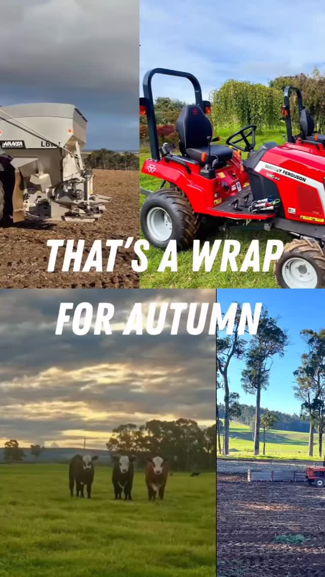 That’s a wrap for autumn, and our little patch of WA has been flat out!
A bumper spud harvest rolled on, alongside calving and now lambing season. Our growers have been busy picking kiwi fruit, avocados, apples and vegetables, while early rains — thanks to a helping hand from the tropical north — delivered strong pasture germination and a welcome start to the season.
We welcomed some new faces to Southern Forest Machinery and farewelled a few long-term team members as they headed into a well-earned retirement. We also enjoyed a great Warren Agricultural Show, with the CF Moto range front and centre and plenty of familiar faces stopping by for a chat.
Now our focus turns to winter. What’s happening in your patch this time of year?
Around here, we’ll be spreading, calf marking, lamb marking, seeding, joining and getting everything lined up for spring.
We know the jobs list can feel endless at times. That’s why Southern Forest Machinery stands alongside our growers every step of the way — whether it’s servicing and repairs, auto-electrical work, guidance systems, spare parts or new machinery.
Whatever the season brings, we’re here to help keep your operation moving.
#manjimup #pemberton #southernforestmachinery #southwestwa #mfborntofarm