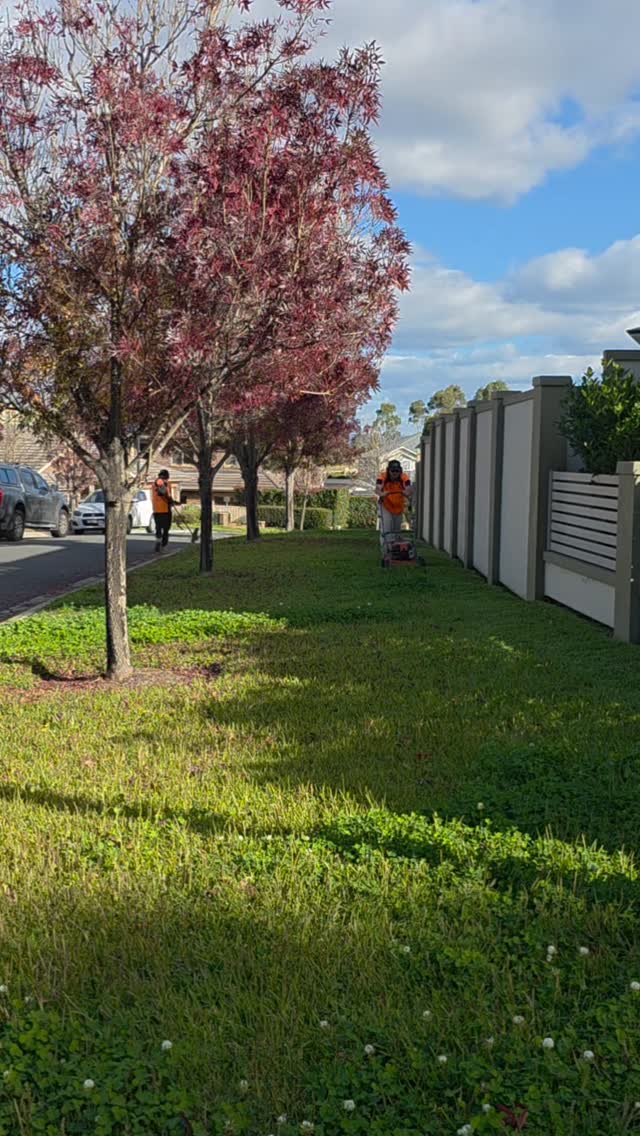 You clicked for 10 seconds... Next thing you know, you've watched the full 26 🤷♂️🍂
#AutumnVibes #LawnMowing #Satisfying #LawnCare #landscaping
