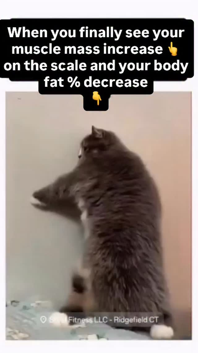That moment when you finally see it…
➡️ Muscle mass UP.
⬇️ Body fat DOWN.
All those early mornings, clean meals, and “just one more set” days finally show up on the InBody scan — and yeah, it hits different. ⚡️
Because it’s not just numbers.
It’s proof.
Proof that consistency beats motivation.
Proof that smart training works.
Proof that you’re becoming stronger — inside and out.
Keep showing up.
Keep stacking the wins.
Your next scan could be your best one yet. 🔥
📲 Ready to start your transformation?
DM “MOMENTUM” to get started with your 6-Week Made of Steel Program.