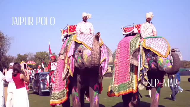 A fleeting glimpse of what’s to come. The Jaipur is gearing up for its next polo season.
Keep your eyes on the arena.
#JaipurPoloSeason #rpc #jaipurcity #jaipurpolo
