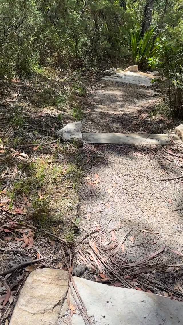 How beautiful is the Royal National Park. Here is a section of the Curra Moors Loop Track. So stunning & easy to walk along 🌿❤️
.
.
.
#curramoors #royalnationalpark #royalnationalparksydney #feelnsw #visitnsw