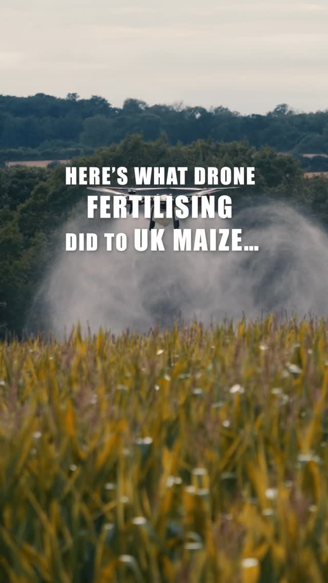 What we found out from our maize trials in 2025
Perfect timing
No crop damage
8-10% average yield increase
Using technology to change the way we look at spray applications within the UK! 🌽 🐄 🚁 🇬🇧
#highvantage #precisionagriculture #maize #spraydrones #xag xaguk