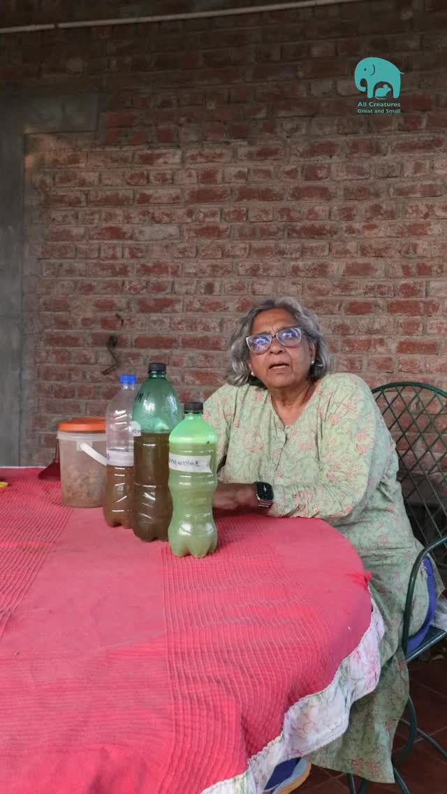 This World Environment Day, we’re reminded that protecting the planet doesn’t always require grand gestures. Sometimes, it’s as simple as carrying your own water bottle, choosing reusable utensils, switching to natural alternatives like reetha, or making bio-enzymes at home.
Small choices, repeated every day, can create a lasting impact. 🌍💚
What is one sustainable habit you’ve adopted in your daily life?
(World Environment Day, sustainability, eco-friendly living, zero waste, reusable products, bio enzymes, reetha, conscious living, environment conservation, green lifestyle)