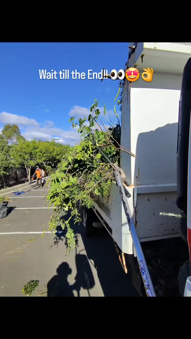 Not sure if I should drive the truck... or water it 🌿🚛😂
We put so much hedges in this truck 🚚 it became a hedge 🤦♂️🤣
#beforeandafter #gardening #plants #trucks #straya