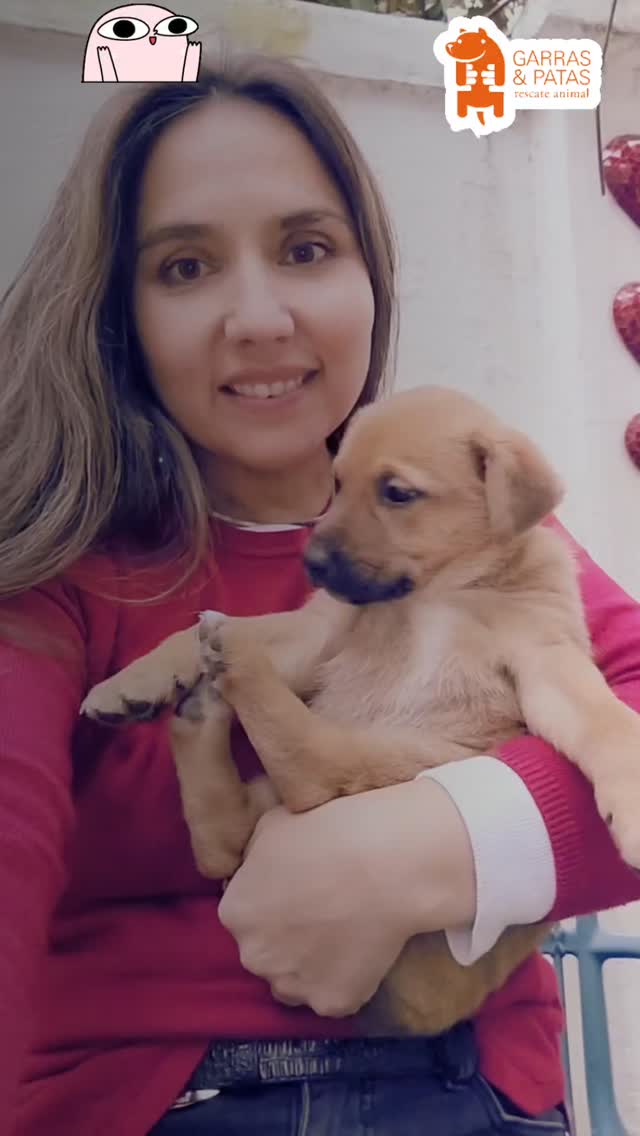 Más información de las gift cards de Betterfly en nuestra Bio, usen el link y no olviden elegir a GarrasyPatas como beneficiario.🐶🐱
