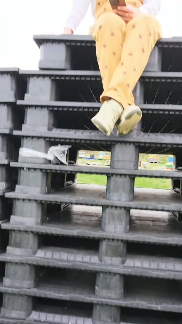 Honey Harvest- from our bees to you🐝❤️
.
.
.
.
#beefarm #fromfarmtotable #honeyfarm #intro #beekeepinginireland