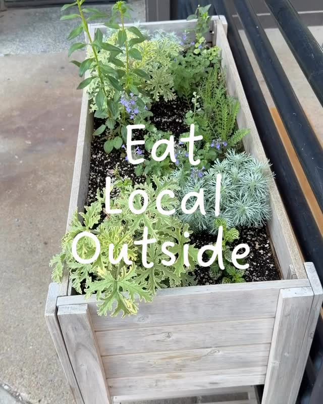 www.kitchentableomaha.com
Dine IN, Takeout, Door Dash!
Thank you for choosing: small, local, scratch-made, with love
Making food that makes you feels good — eating with the seasons, a little something for everyone ✨
Shop Small x Eat Local